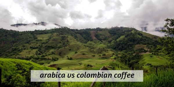 arabica vs colombian coffee (2)