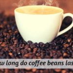 coffee bean (1)
