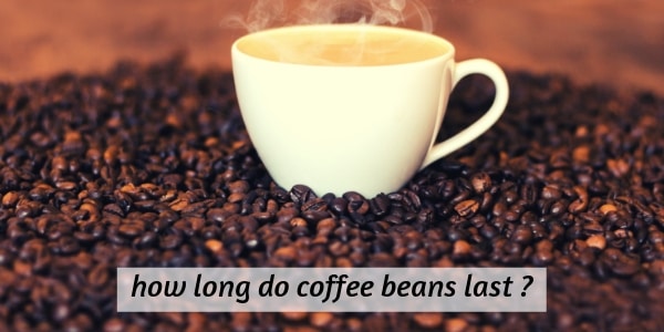 coffee bean (1)