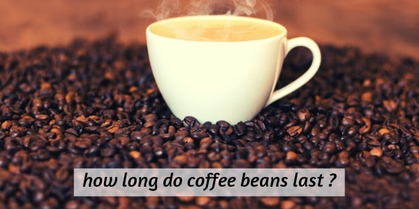 How Long Do Coffee Beans Last A Word On Fresh Coffee Beans