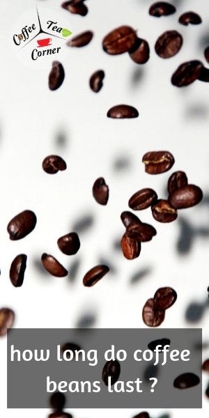 coffee bean (2)