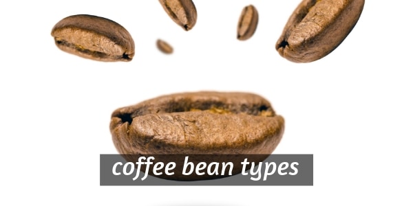 coffee bean types
