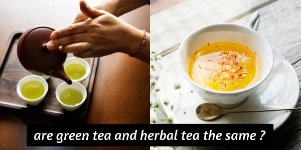 green tea herbal tea (1)