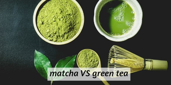 matcha vs green tea 