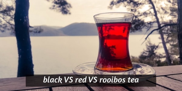 Konflikt puls stimulere Black Tea VS Red Tea VS Rooibos - Clearing Up The Confusion