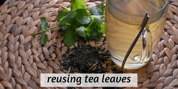 reuse tea leaves (2)