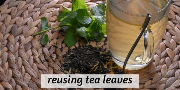 Can You Reuse Tea Leaves Getting The Most Out Of Your Tea