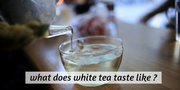 Here S What Delicate White Tea Tastes Like And How To Make A Cup