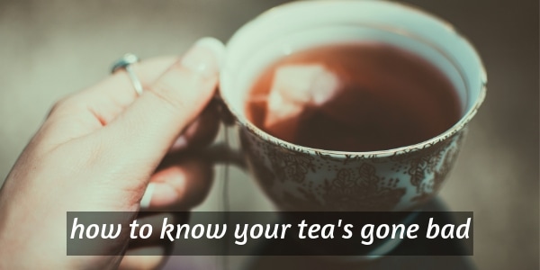 How long is tea good for after expiration date