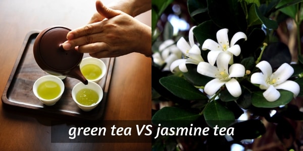 green vs jasmine tea 