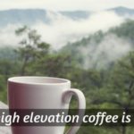 mountain coffee