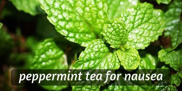 peppermint tea