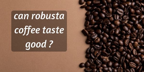 robusta coffee