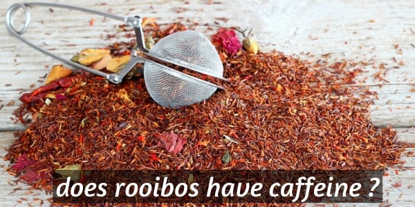 rooibos tea