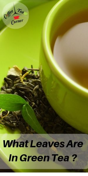 Green tea leaves