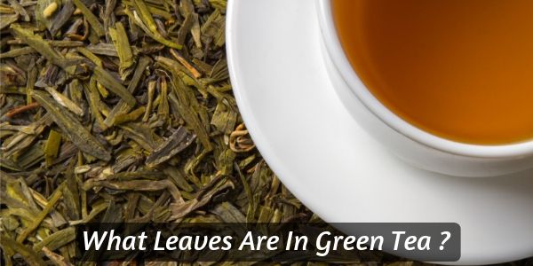 Green tea leaves