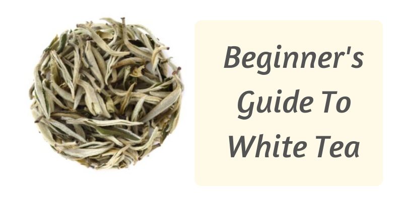 White tea guide