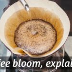coffee bloom