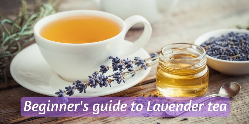 lavender tea