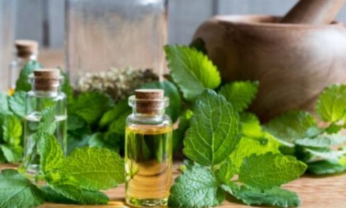 lemon balm essential oil