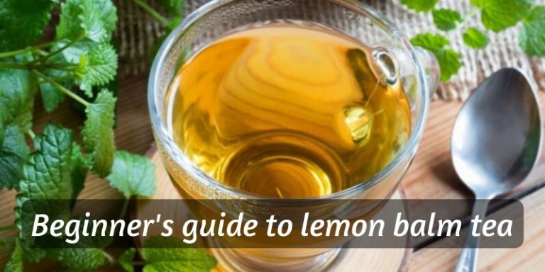 Beginners Guide To Lemon Balm Tea And How To Make A Cup