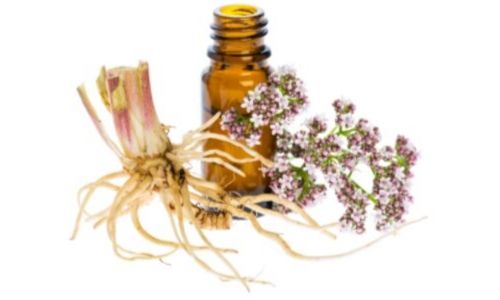 valerian root extract