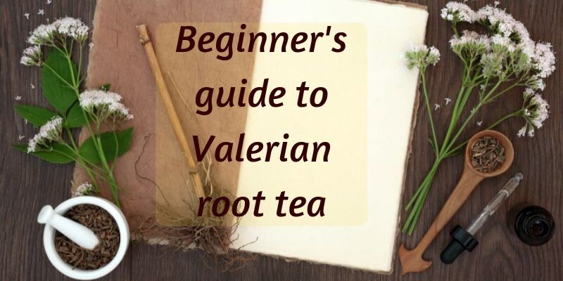 valerian root tea