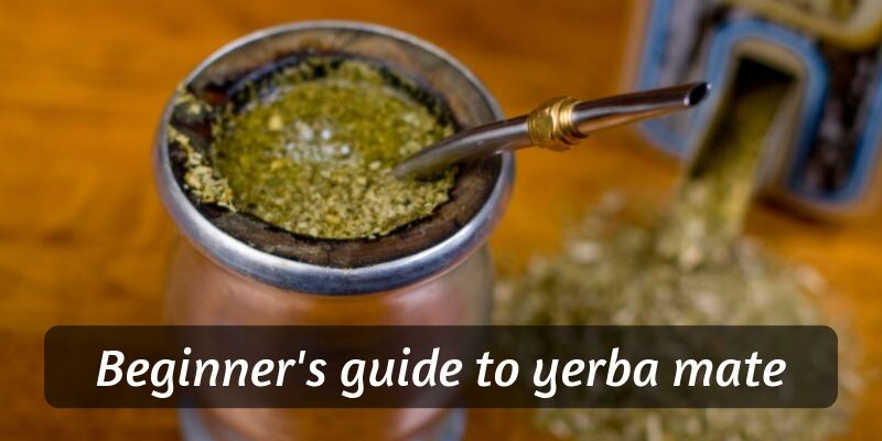 Beginner&039s Guide to Yerba Mate (Brewing, Taste, Effects)