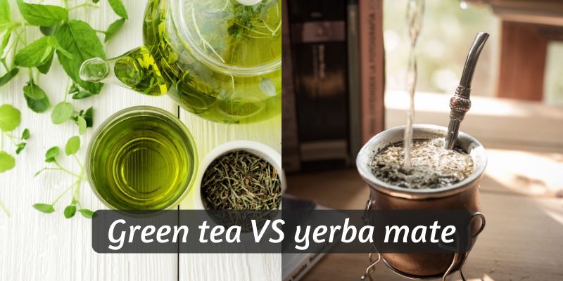 Green Tea VS Yerba Mate - 5 Differences To Pick Your Favorite