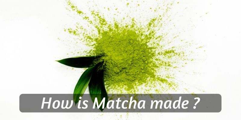 matcha powder (3)