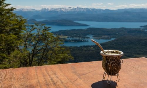 yerba mate (2)