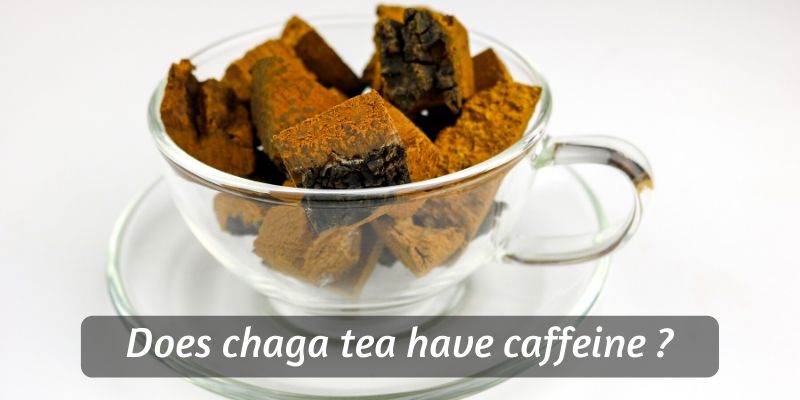 chaga tea