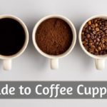 coffee cupping (5)