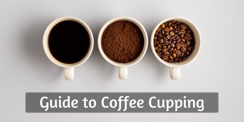 coffee cupping (5)